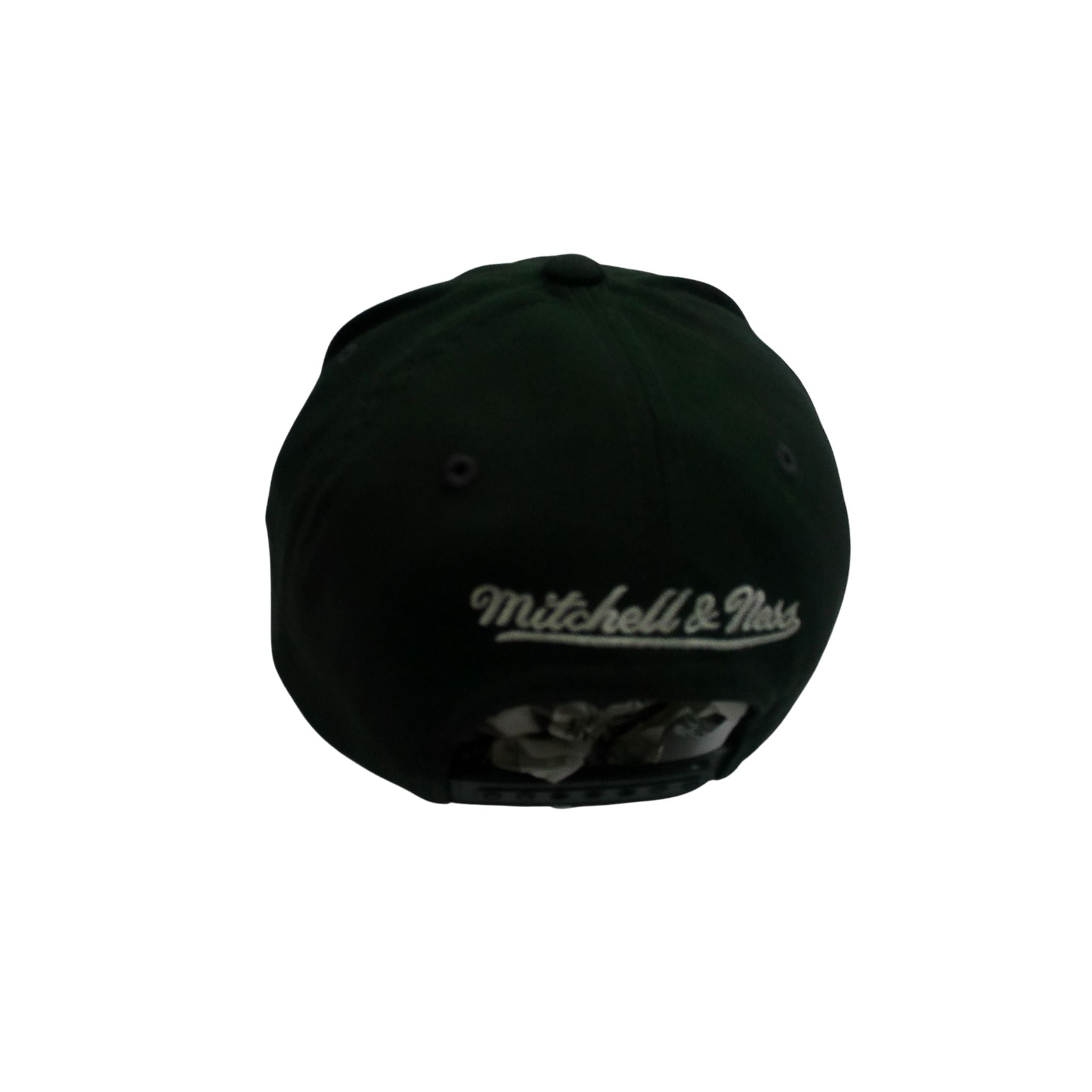 NBA Chicago Bulls Camo Snapback